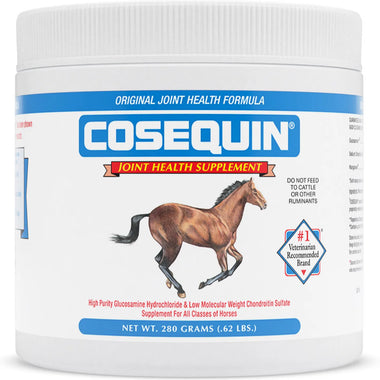 Cosequin® Equine Joint Supplement