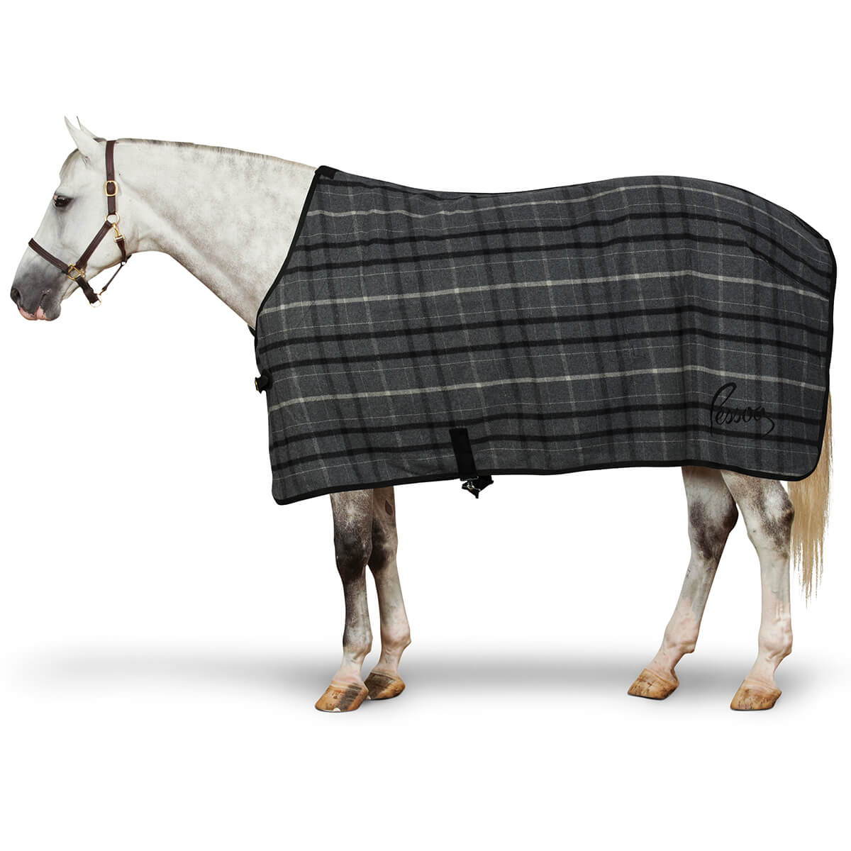Pessoa Wool Cooler