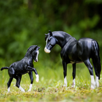 Breyer Traditional Nistar Blazing Kansas LOM and GTF Blazing Ethel in field