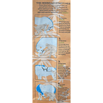 Hilton herb Herballs Back