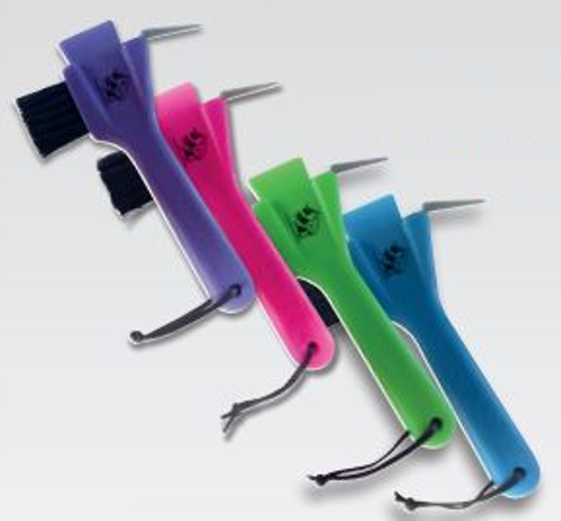Economy Hoof Pick