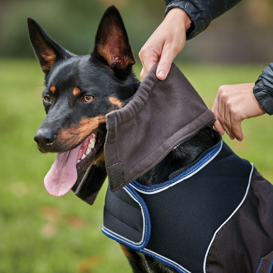 WeatherBeeta ComFiTec Ultra Cozi Dog Coat