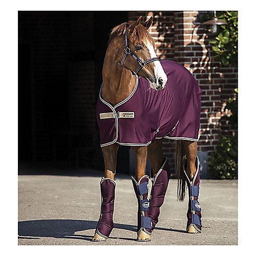 Amigo® Jersey Cooler
