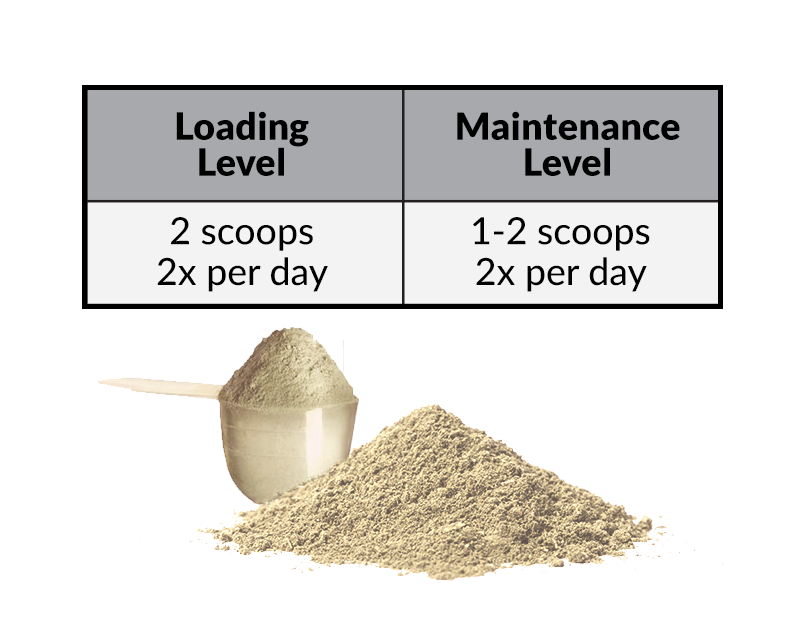 Perfect Prep EQ™ Training Day Powder