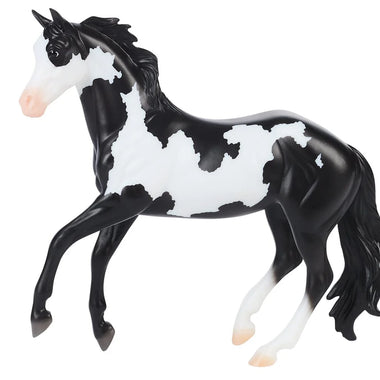 Black Frame Overo Stock Horse