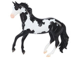 Black Frame Overo Stock Horse