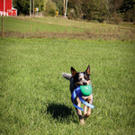 KOREflex Ball and Tail for Dogs