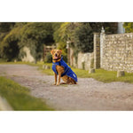 Comfitec Premier Free Parka Deluxe Dog Coat