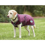 Weatherbeeta Comfitec Premier Parka Deluxe Dog Coat Medium