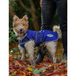 Weatherbeeta Comfitec Premier Parka Deluxe Dog Coat Medium
