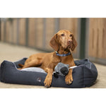 Buddy Sheep Dog Toy