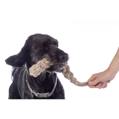 Buddy Knot Bone Dog Toy