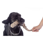 Buddy Knot Bone Dog Toy