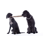 Buddy Knot Bone Dog Toy