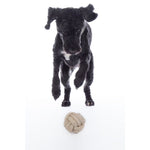 Buddy Knot Ball Dog Toy
