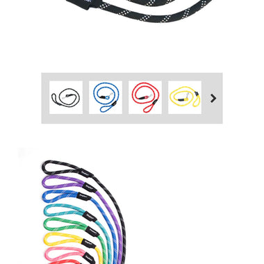 Climbers Dog Leash