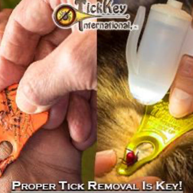 Tick Key