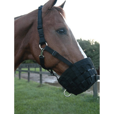 Web Muzzle