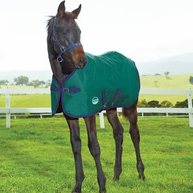 Foal Standard Neck Medium II Horse Blanket | Medium 220g