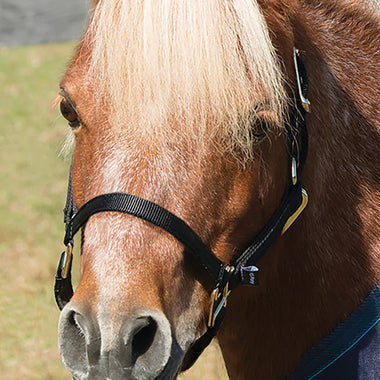 Mini Nylon Halter