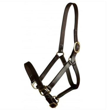 Leather Adjustable Turnout Halter without Snap