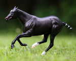 Polo Ponies