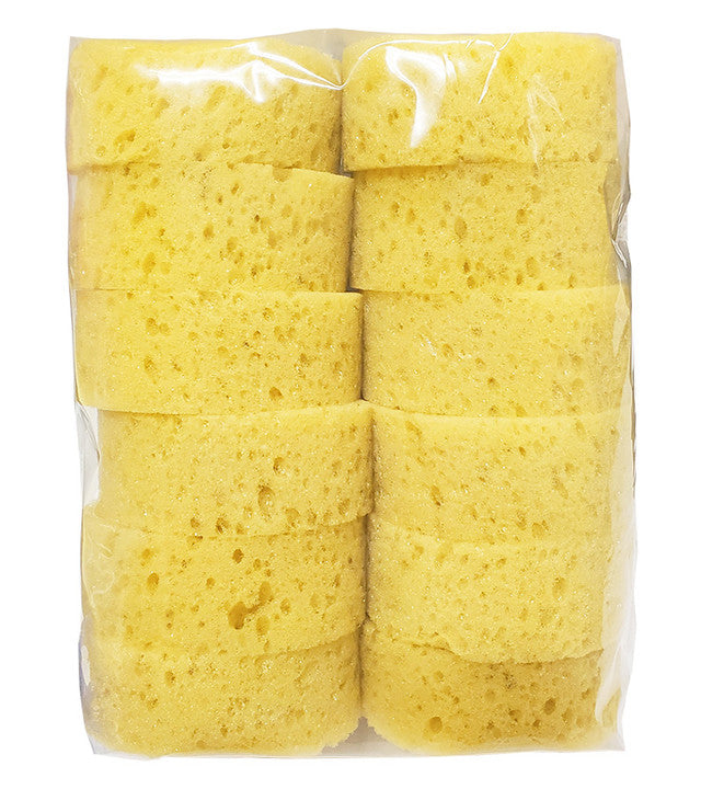 Economy Tack Sponges
