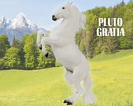 Pluto Gratia