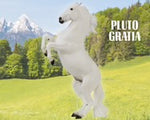 Pluto Gratia