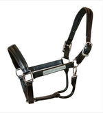 Dressage Halter