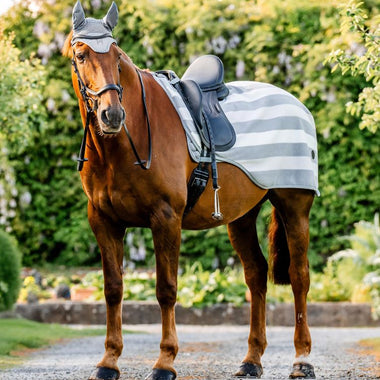 Newmarket Exercise Sheet