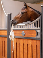 Banana Horse Toy