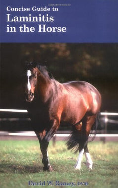 Concise Guide to Laminitis in the Horse