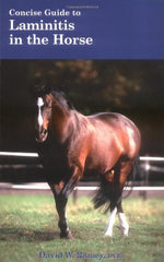 Concise Guide to Laminitis in the Horse