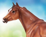 Apollitical Jess | American Quarter Horse Sprinter