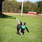 KOREflex Ball and Tail for Dogs
