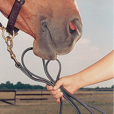 Leather Lead Rope