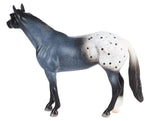 Blue Roan Appaloosa