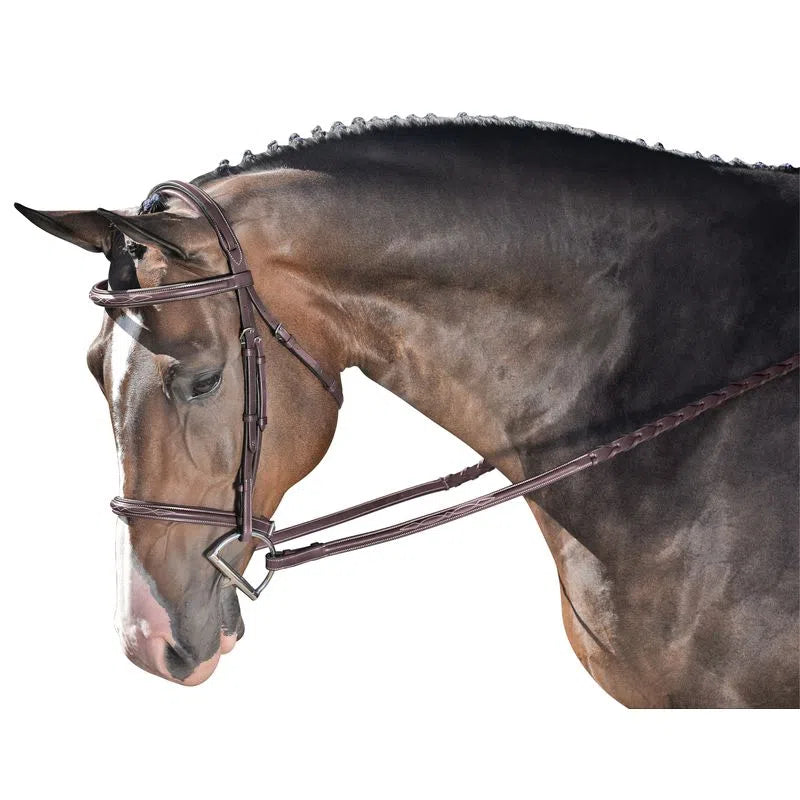 Annice Fancy English Bridle
