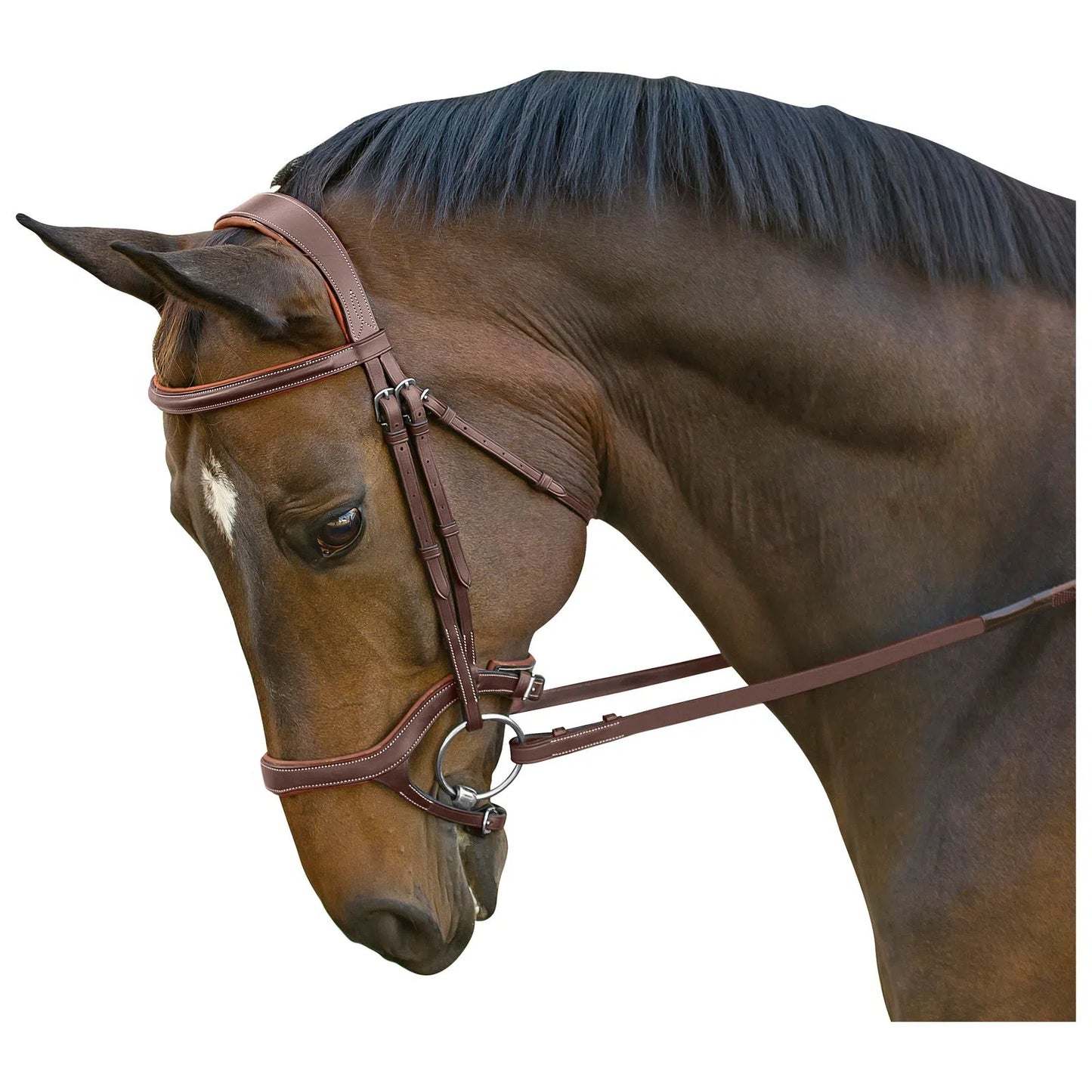 Hybrid Jumper Bridle