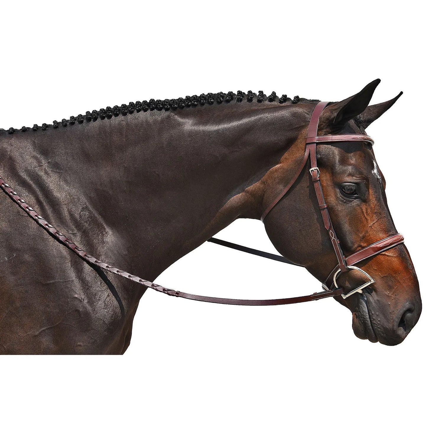 Handy Hunter Snaffle Bridle