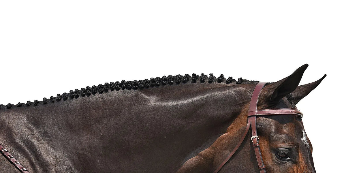 Handy Hunter Snaffle Bridle – The Equestrian Shop