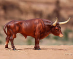 Texas Longhorn Bull