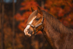 Breakaway Halter with Full Leather Crown