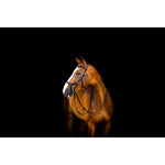 Micklem 2 Deluxe Competition Bridle with Reins