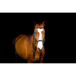 Micklem 2 Deluxe Competition Bridle with Reins