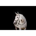 Micklem 2 Deluxe Competition Bridle with Reins