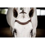 Micklem 2 Deluxe Competition Bridle with Reins