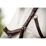 Micklem 2 Deluxe Competition Bridle with Reins