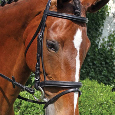 Nunn Finer "Brentina" Dressage Bridle, Black